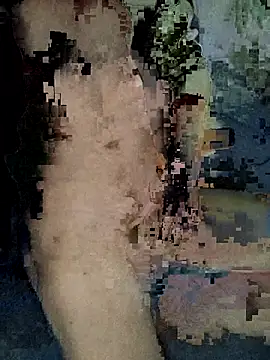 xxxxxcgbn online show from February 2026 04:17:02 AM