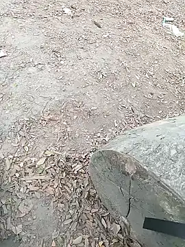 Dasdhon online show from November 2025 10:20:01 AM