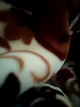 Hot pooja55 online show from February 2026 06:51:01 AM