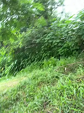 Snapshot of magraocam chatting on March 2026 02:21:02 PM magraocam online show from March 2026 02:21:02 PM