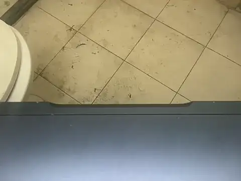 LustyDuoSecrets online show from November 2025 04:30:01 PM