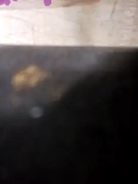 Jeremycle online show from October 2025 11:21:02 PM