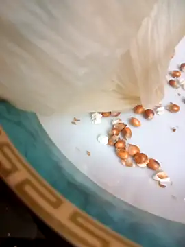 Snapshot of Ebtessamcachonda chatting on October 2025 09:15:01 PM Ebtessamcachonda online show from October 2025 09:15:01 PM