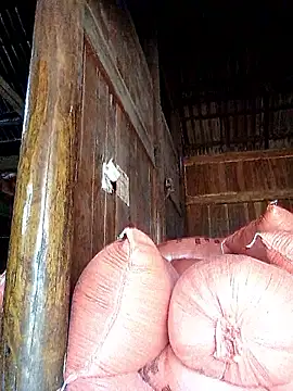 hera-00 online show from September 2025 03:40:01 AM