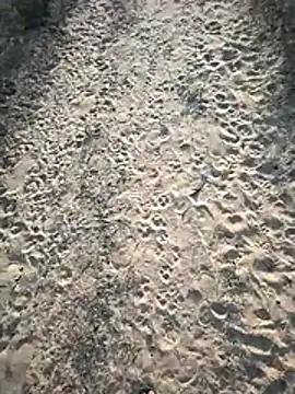 SmartLoda143 online show from November 2025 11:10:02 AM