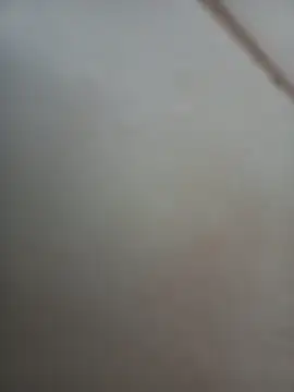 Jobson40 online show from November 2025 12:01:02 AM