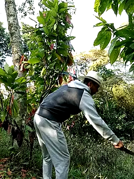 Snapshot of AlphaAlterX chatting on February 2026 01:23:02 PM AlphaAlterX online show from February 2026 01:23:02 PM