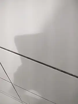 Snapshot of Novin23cms chatting on November 2025 10:20:02 PM Novin23cms online show from November 2025 10:20:02 PM