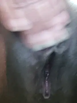 Yadi 738xx online show from September 2025 10:50:01 AM