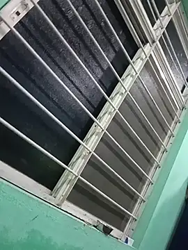 Lavanyaatelugu online show from November 2025 02:13:01 PM