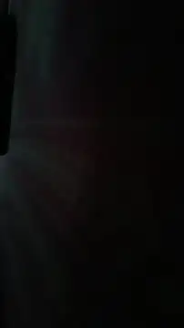 Lavanyaatelugu online show from December 2025 11:59:01 AM