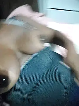 thamihravena online show from November 2025 02:44:02 AM