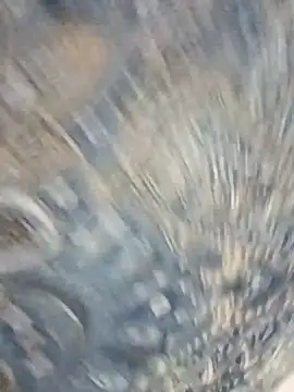 Snapshot of HAANNIAA chatting on December 2025 11:04:01 AM HAANNIAA online show from December 2025 11:04:01 AM