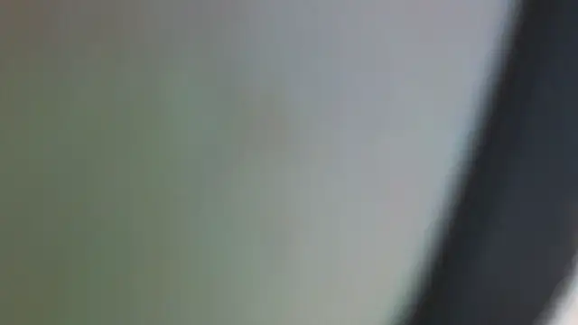 piekelete online show from October 2025 04:09:01 AM