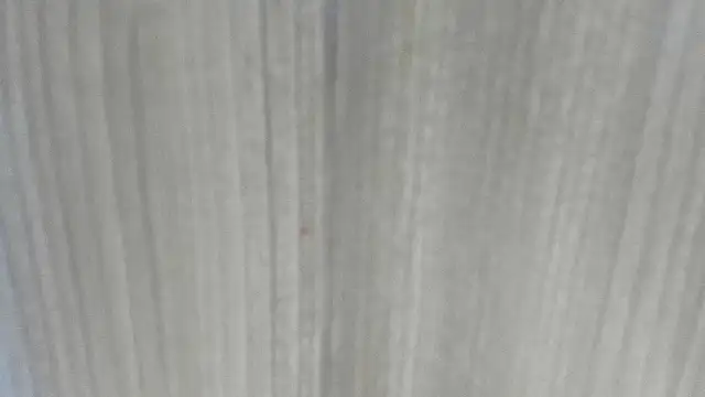 emycarver09 online show from February 2026 11:31:02 AM