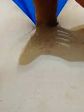 Holanda23cm online show from May 2026 04:52:01 AM