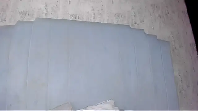 shanty cole online show from July 2026 12:19:02 PM