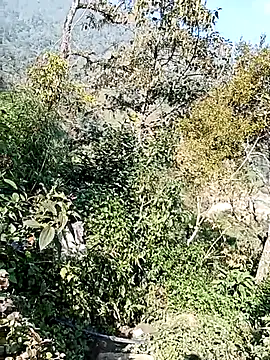 Snapshot of xinhxinhcute chatting on December 2025 03:00:02 AM xinhxinhcute online show from December 2025 03:00:02 AM