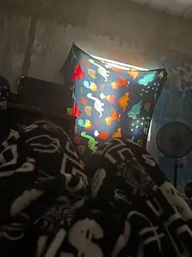 Snapshot of FromVnz chatting on November 2025 12:45:02 PM FromVnz online show from November 2025 12:45:02 PM