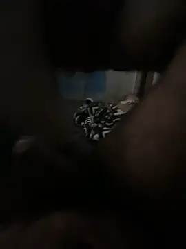 Snapshot of FromVnz chatting on November 2025 12:37:01 PM FromVnz online show from November 2025 12:37:01 PM