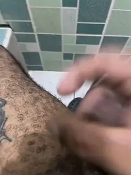 Snapshot of FromVnz chatting on March 2026 07:43:02 PM FromVnz online show from March 2026 07:43:02 PM