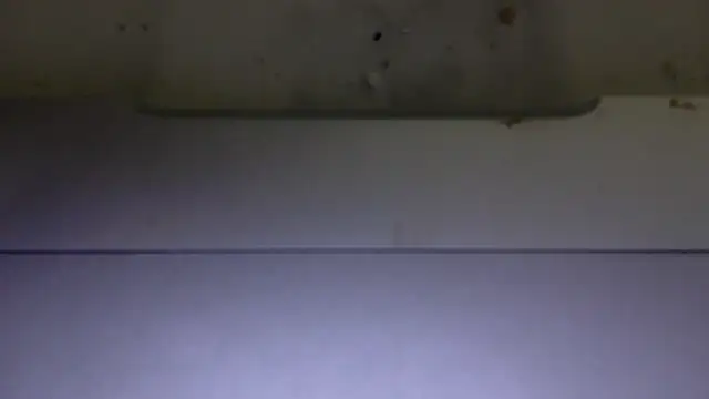 Snapshot of edger4lif3 chatting on November 2025 06:59:02 PM edger4lif3 online show from November 2025 06:59:02 PM