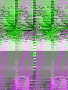 Snapshot of couple2612 chatting on October 2025 09:39:02 AM couple2612 online show from October 2025 09:39:02 AM