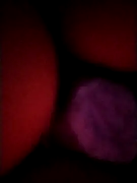Snapshot of _tetas_92 chatting on April 2026 01:53:01 AM tetas 92 online show from April 2026 01:53:01 AM