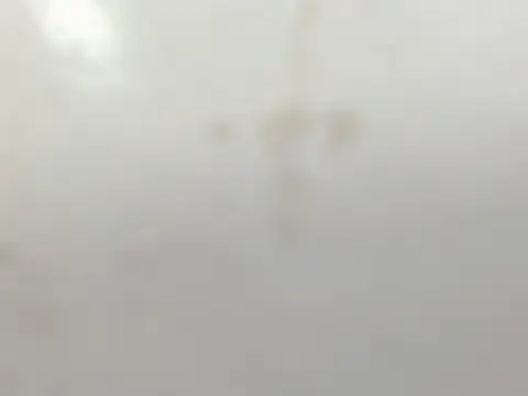 Penelopee Rouse online show from October 2025 07:25:02 PM