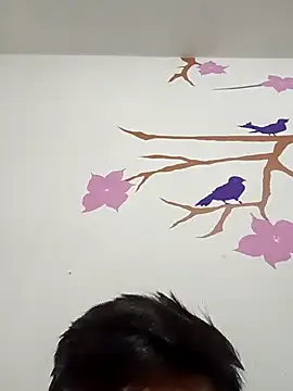 DavidVergagigante420 online show from February 2026 06:01:02 AM