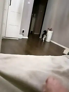 NiceBadgera online show from October 2025 06:40:02 PM