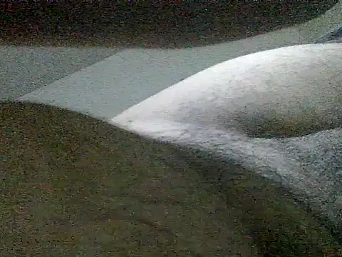 LuispingonX69 online show from May 2026 11:44:01 PM