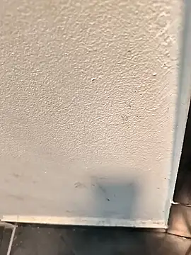 Snapshot of penchis90 chatting on December 2025 02:22:02 PM penchis90 online show from December 2025 02:22:02 PM