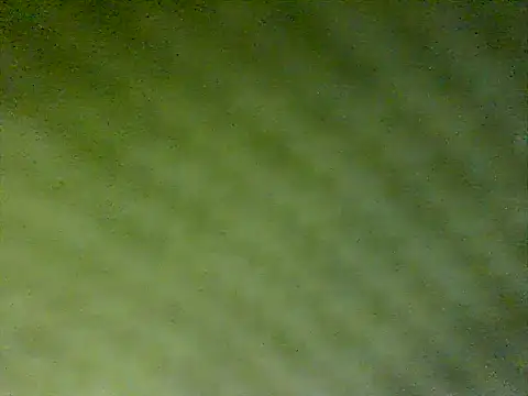 honestglacier9 online show from October 2025 07:27:01 PM