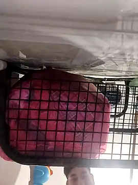 Ferxxxo1503 online show from November 2025 06:24:02 AM