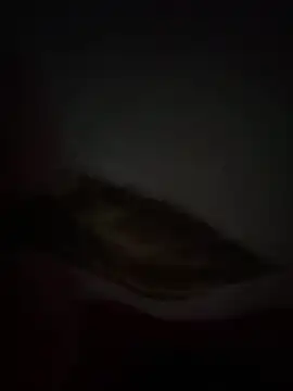 Snapshot of Flash356 chatting on February 2026 09:13:01 PM Flash356 online show from February 2026 09:13:01 PM