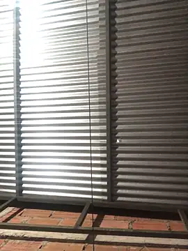 elpeluchenegroxxx3 online show from February 2026 03:13:01 AM