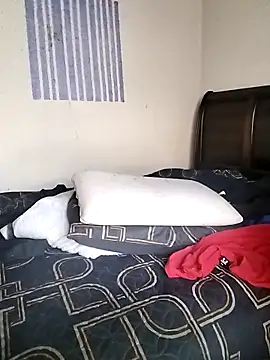 donchico0 online show from March 2026 05:29:01 AM