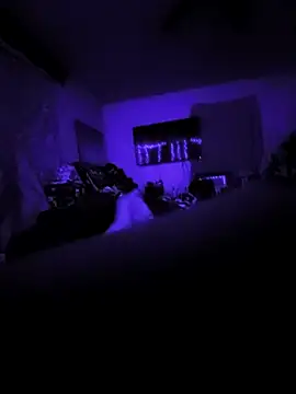 littlecockginger online show from October 2025 10:16:02 AM