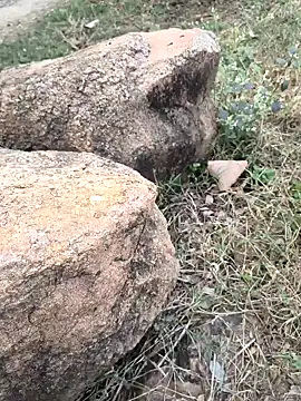 Snapshot of Ag_punam chatting on November 2025 10:43:02 AM Ag punam online show from November 2025 10:43:02 AM