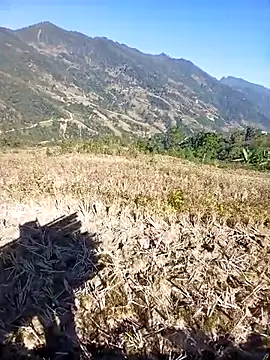 kemtuoi-sex online show from November 2025 03:32:02 AM