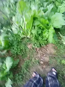 kemtuoi-sex online show from January 2026 10:31:01 AM