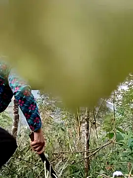 kemtuoi-sex online show from April 2026 10:19:02 AM