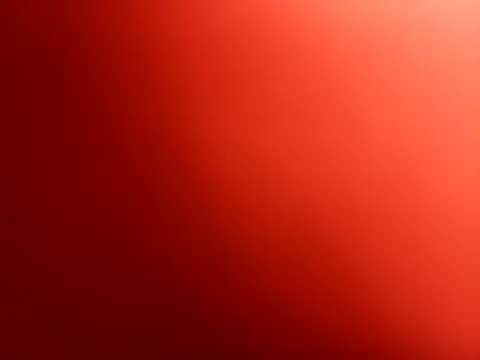 fernandowall online show from November 2025 10:47:02 AM