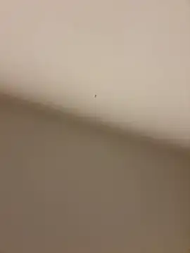 Snapshot of Yunjieusa_66 chatting on September 2025 05:42:01 AM Yunjieusa 66 online show from September 2025 05:42:01 AM