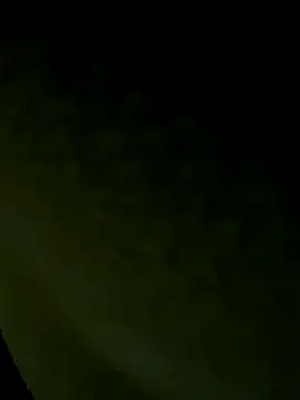 Wild-Nayra online show from October 2025 07:53:02 AM