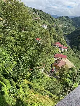 LAZ3R1 online show from October 2025 11:00:02 AM