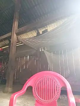 riso-00 online show from October 2025 05:08:02 AM