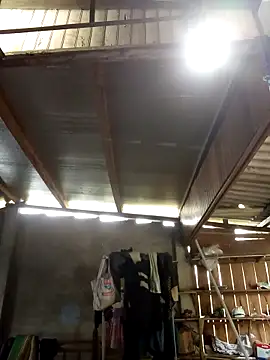 Snapshot of SSexykute3456 chatting on October 2025 03:15:02 AM SSexykute3456 online show from October 2025 03:15:02 AM