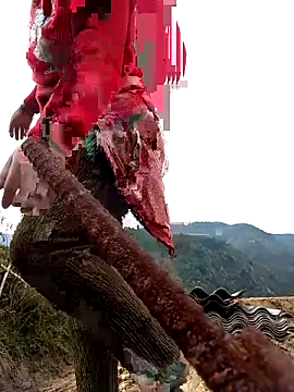 Snapshot of SSexykute3456 chatting on November 2025 01:49:02 AM SSexykute3456 online show from November 2025 01:49:02 AM